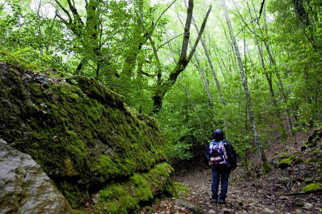 Ferula Romantica Mansarda Tra Fiumi E Montagne Sardegna Seùlo Exterior foto