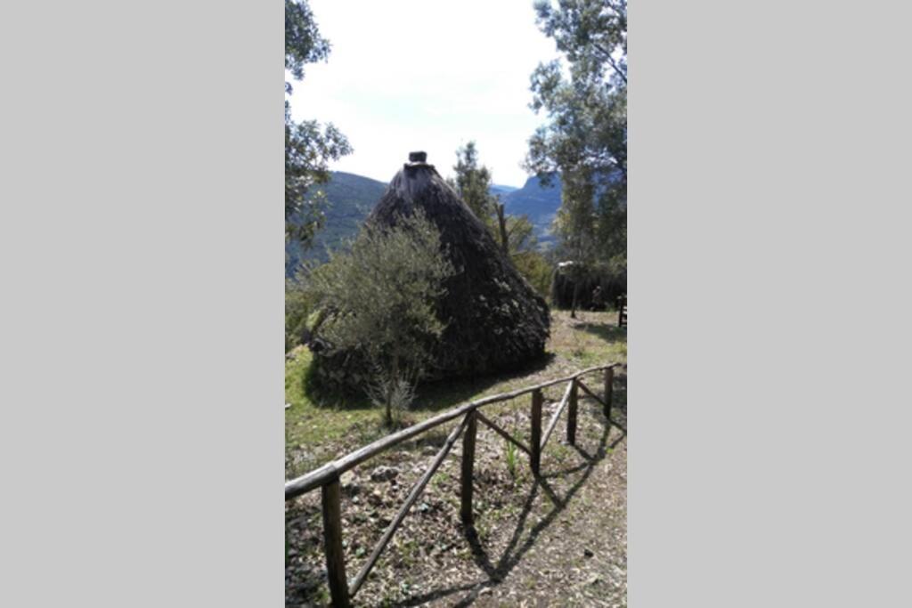 Ferula Romantica Mansarda Tra Fiumi E Montagne Sardegna Seùlo Exterior foto