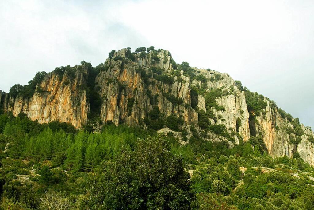 Ferula Romantica Mansarda Tra Fiumi E Montagne Sardegna Seùlo Exterior foto